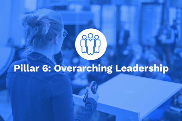 Pillar 6 – Overarching Leadership: Visionary